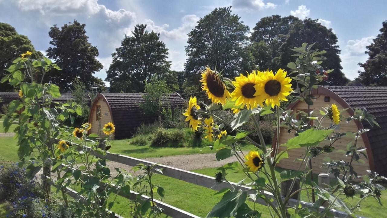Mallow Glamping Pod Cheltenham Luaran gambar